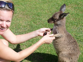 A fun day at Glen Forest Animal Park