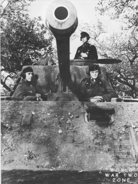 [panther_close_up.jpg]