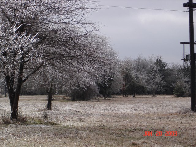 Texas Ice Storm January 2009