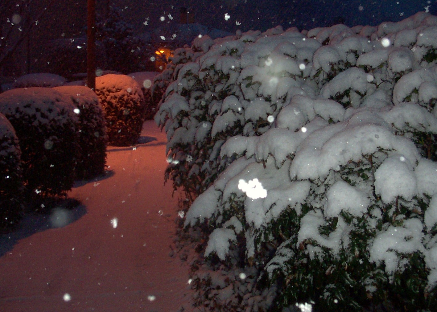 [08+Snow+-+On+My+Walk+Back+Home.JPG]