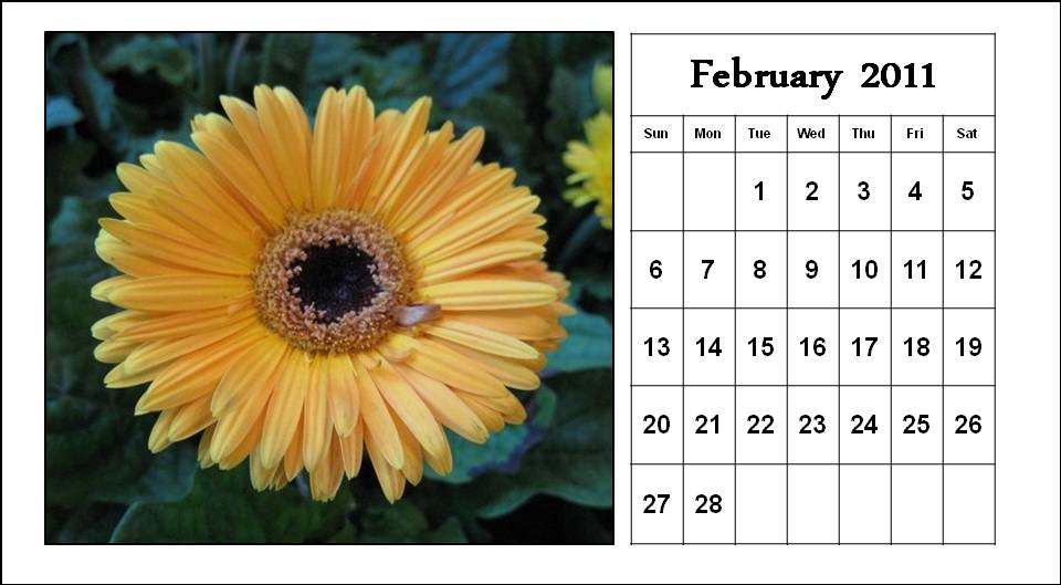 printable 2011 calendar february. Download Printable February