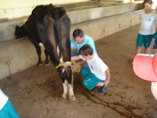 ordenha