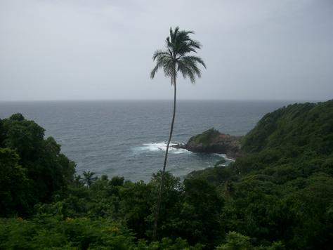 View from room, Dominica
