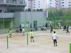 Net Soccer at Park