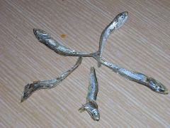 Korean sardine star