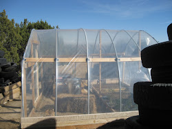 greenhouse plastic sheeting chicken coop clear mil covering goes poly planter striving difference farm strong