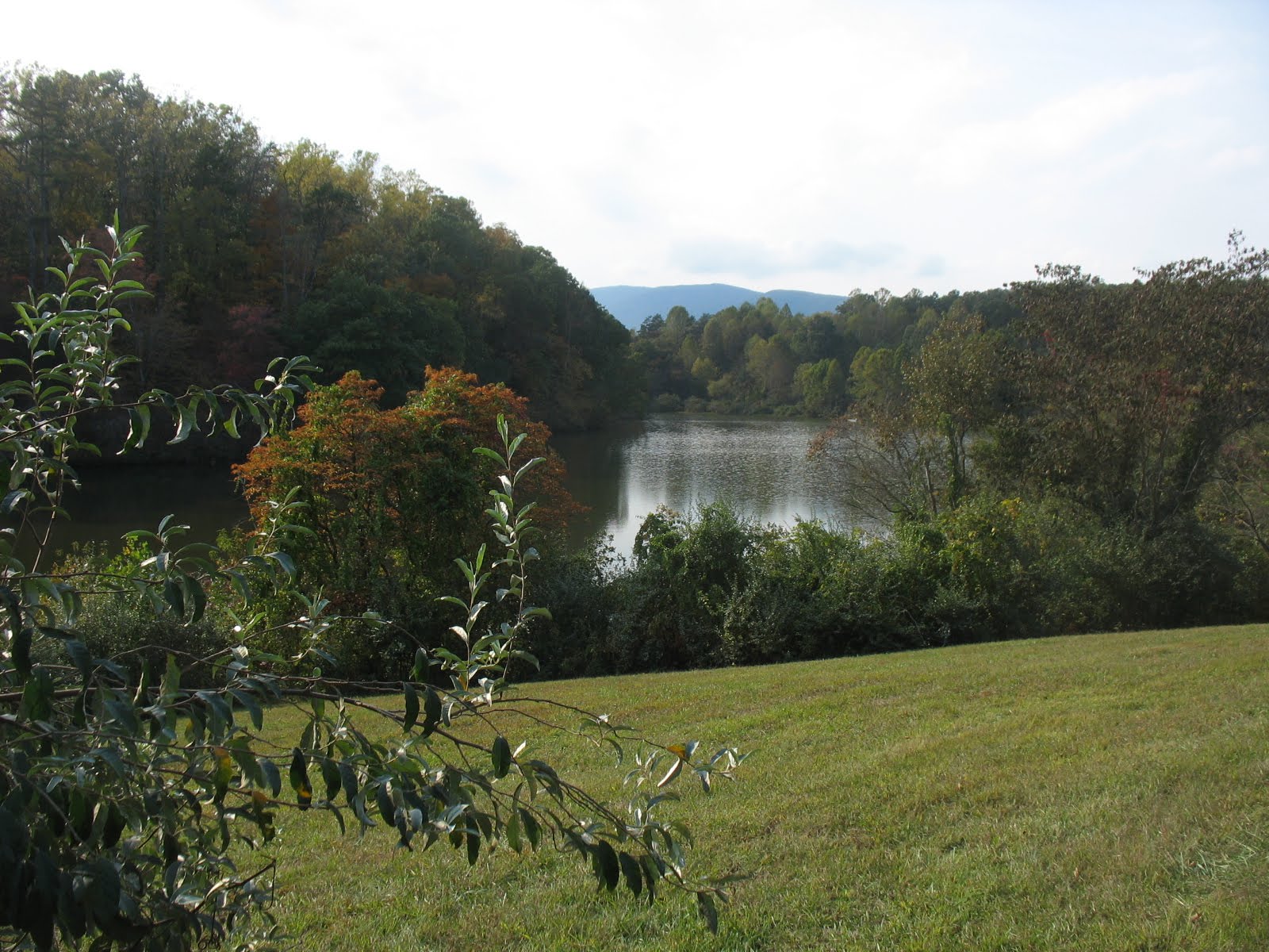 Life on Two Acres Photos from Lake Albemarle