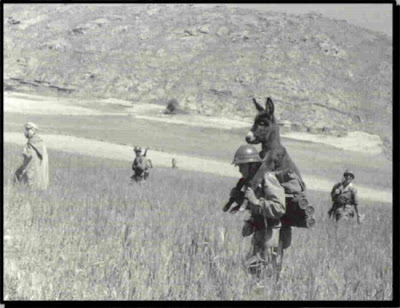 Funny military photos (11) 9