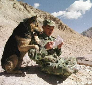 Funny military photos (11) 8