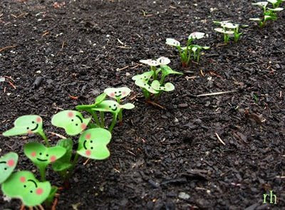Sprouting (2) 1