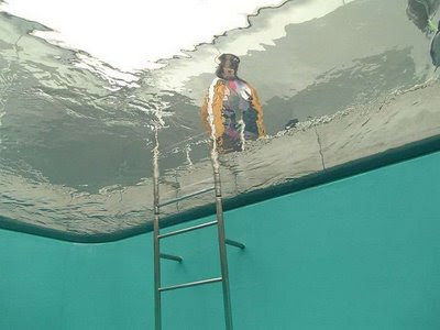 Swimming Pool Installation In 21st Century Museum Of Art Of Kanazawa (7) 6