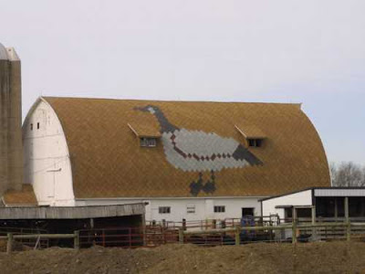 Roof Art Barns (18) 3