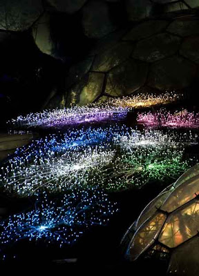Light Installation (3) 1