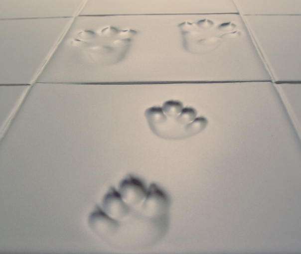 Kitchen Tiles Stickers Malaysia Kitchen Tiles Stickers Malaysia