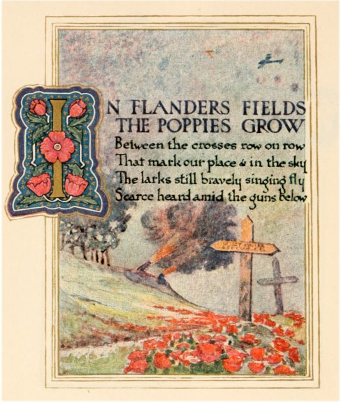 flanders field poem. In Flanders fields.