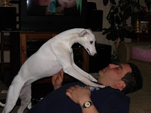...and one snotty Whippet