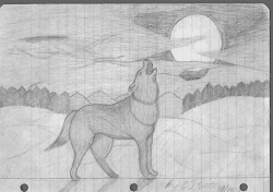 wolf drawings pencil drawing paper wolves draw anime notebook bored easy sketches sketch simple math done because class chainimage