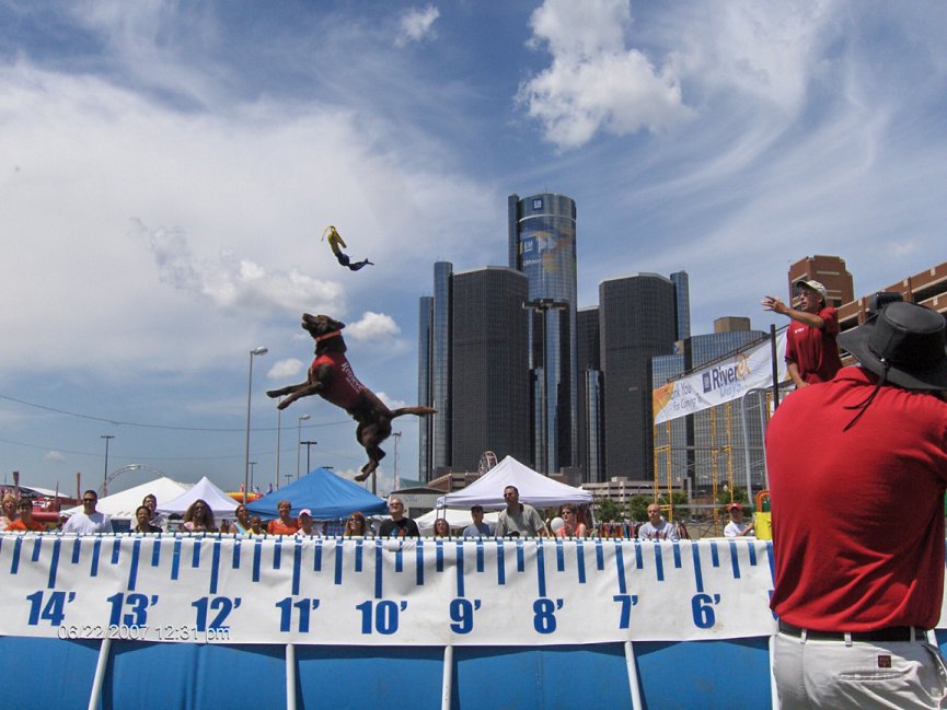 For the Love of Dogs Dock Diving