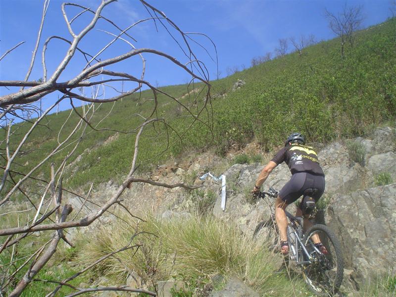 [DSC01122+(Medium).JPG]