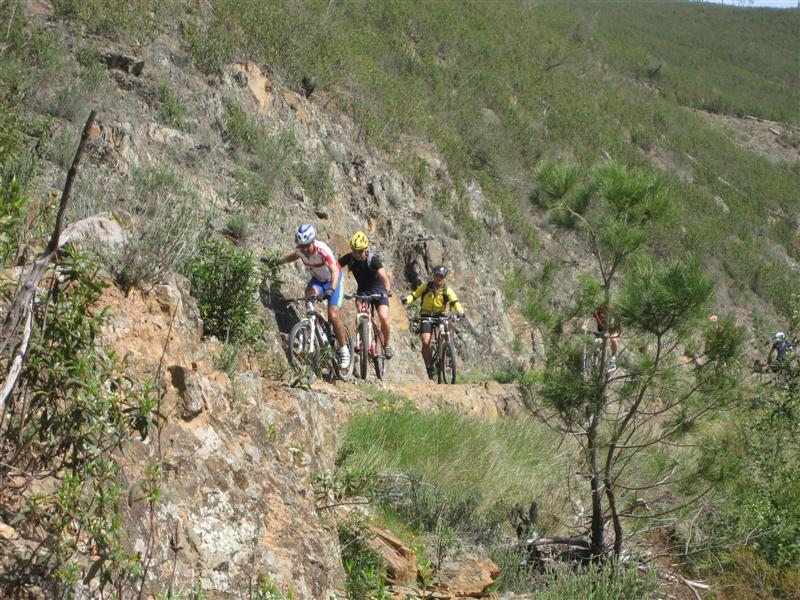 [IMG_6015+(Medium).JPG]