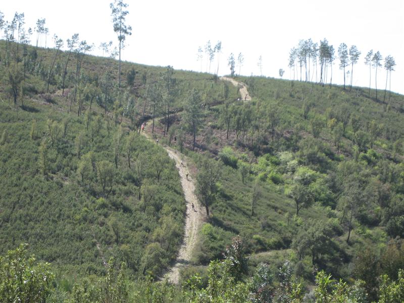 [IMG_5968+(Medium).JPG]