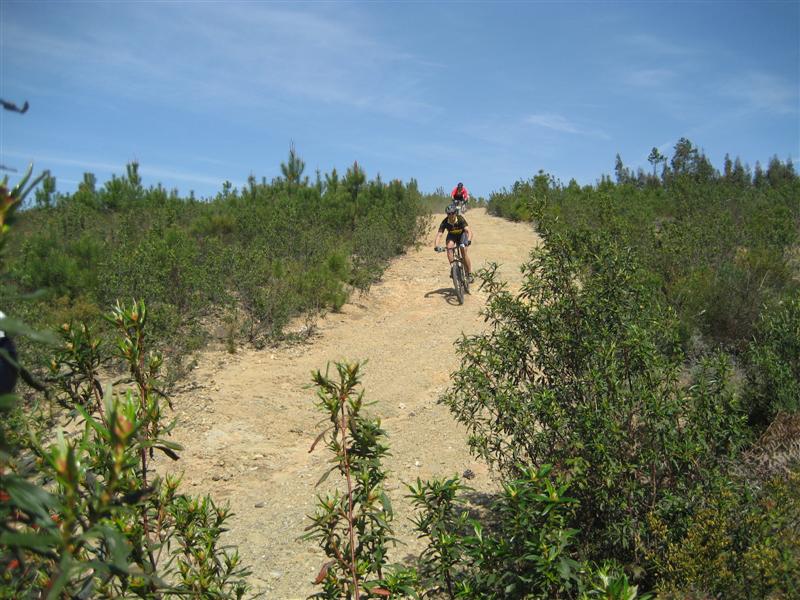 [IMG_5955+(Medium).JPG]