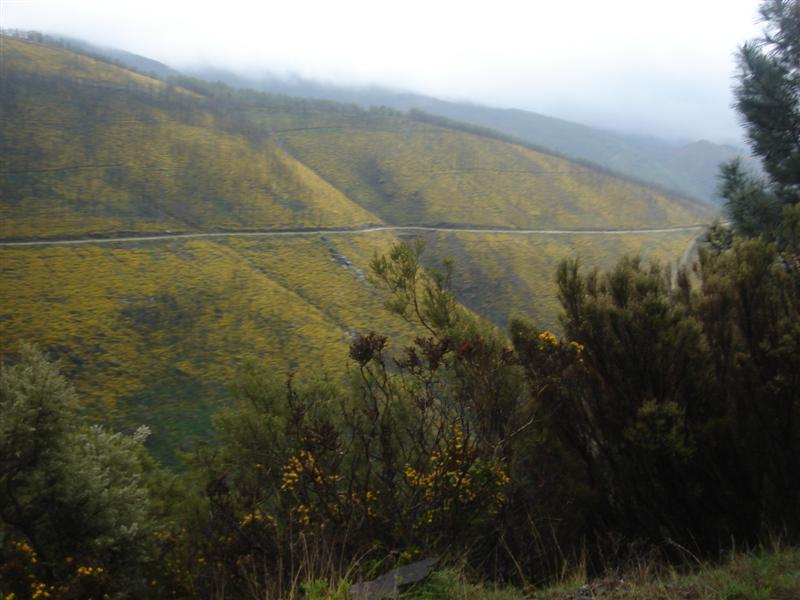 [Rotas+do+Marão+121+(Medium).jpg]