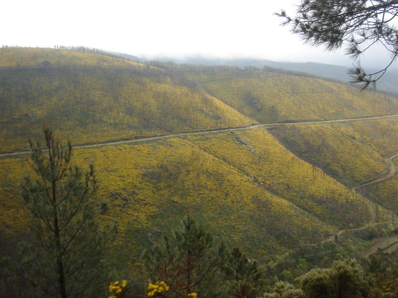 [Rotas+do+Marão+120+(Medium).jpg]