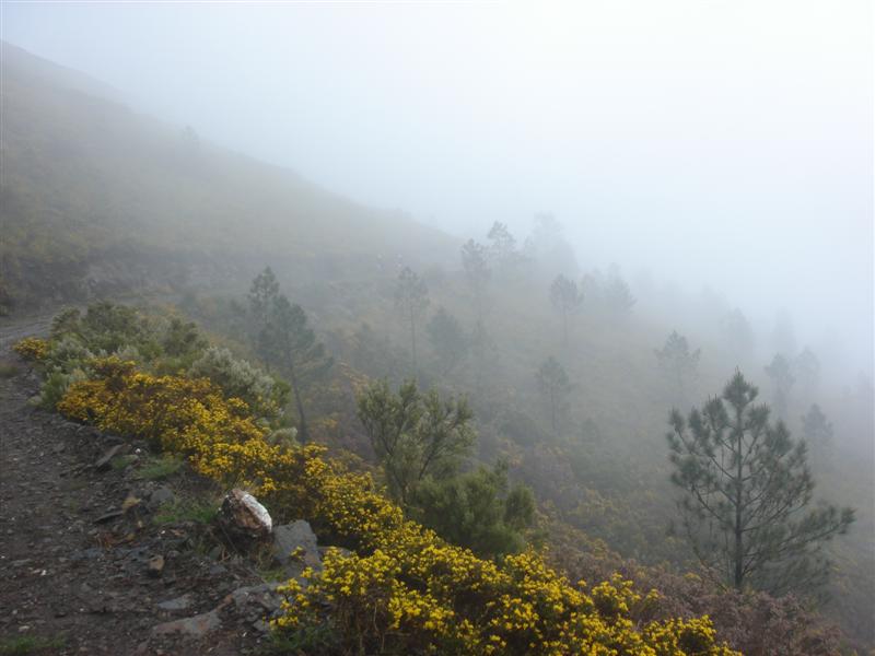 [Rotas+do+Marão+111+(Medium).jpg]