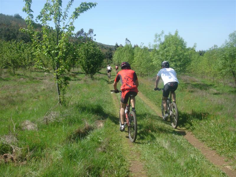 [Maratona+do+Paul+2008+145+(Medium).jpg]