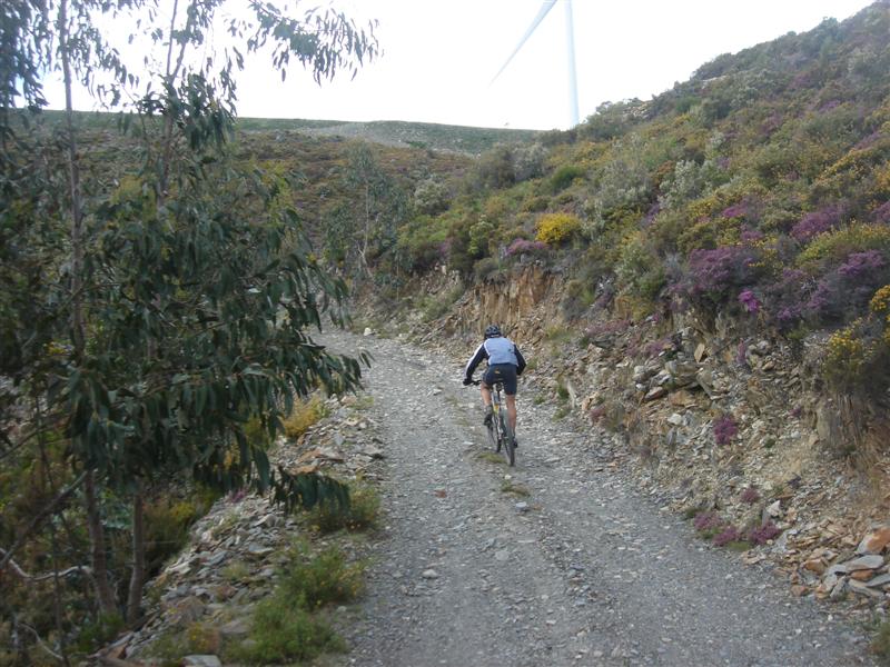 [Caramulinho+10+maio+196+(Medium).jpg]