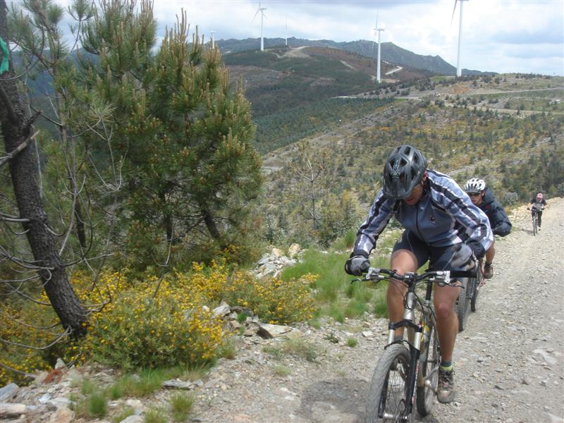 [Caramulinho+10+maio+199+(Medium).jpg]