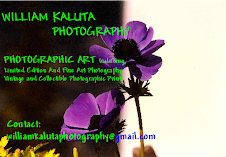 William Kaluta Photography