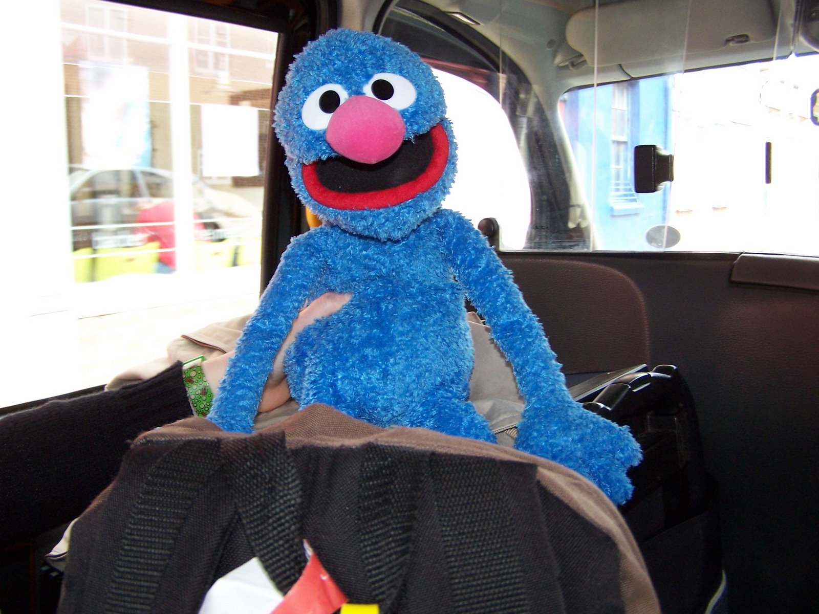 Grover Sees the World