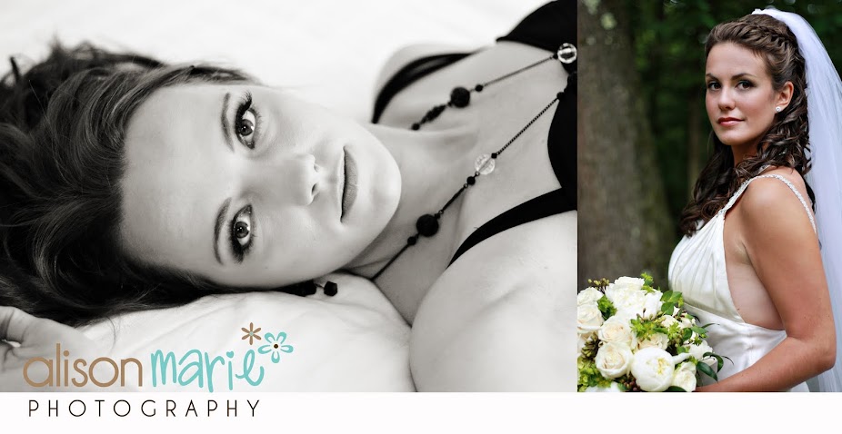 alisonmarie photography blog