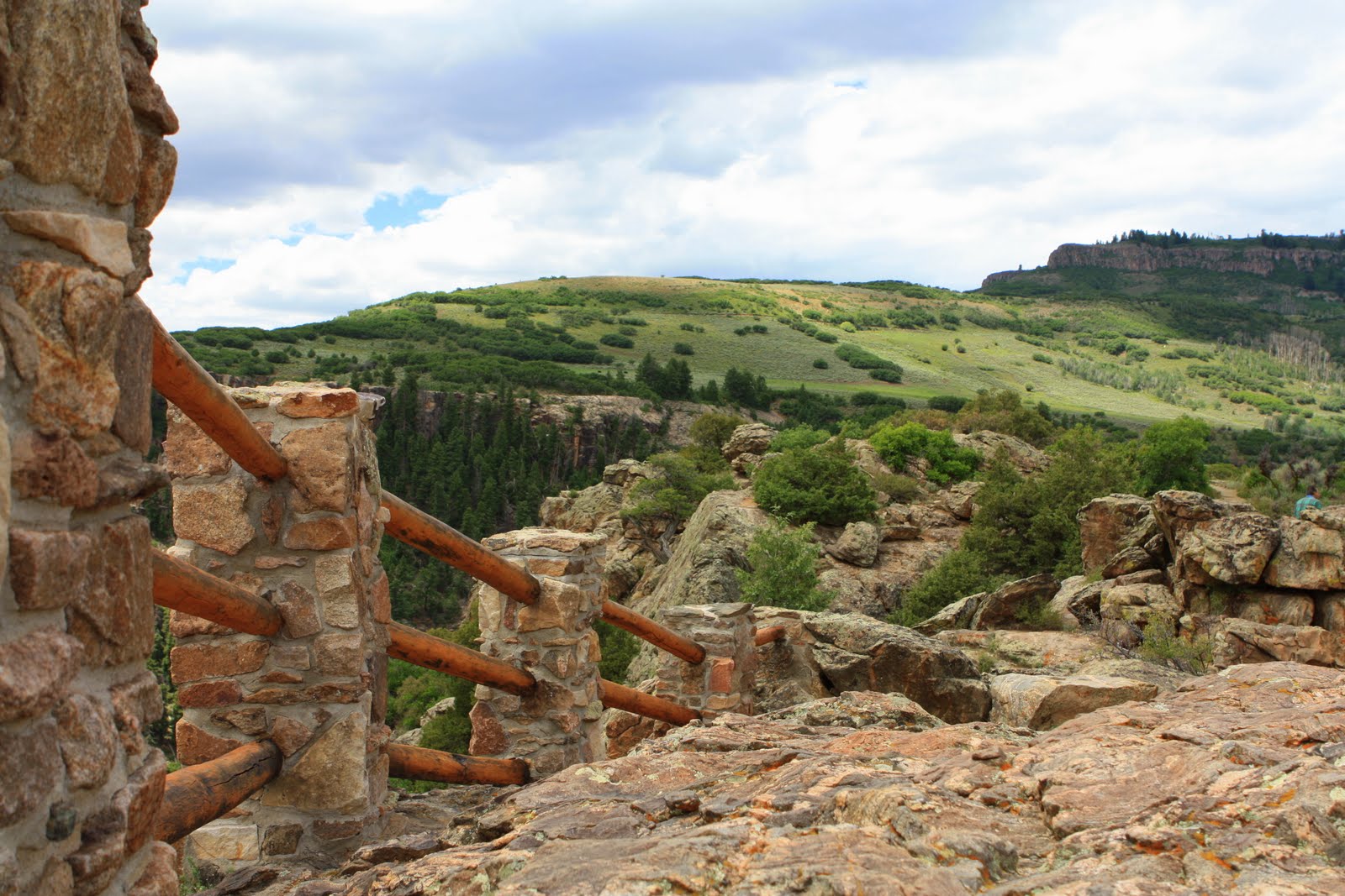 Fresh Local and Best Mark Bittman's Salmon Burger Recipe & Experiences