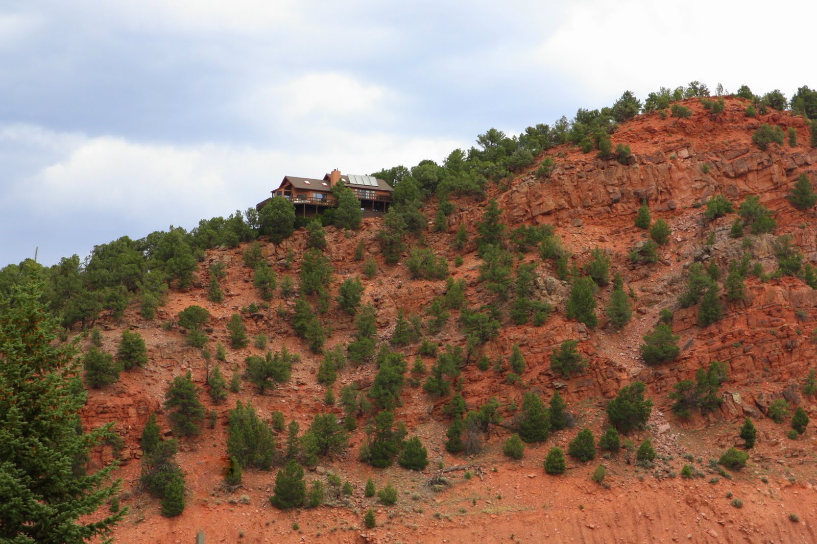 Fresh Local and Best Mark Bittman's Salmon Burger Recipe & Experiences