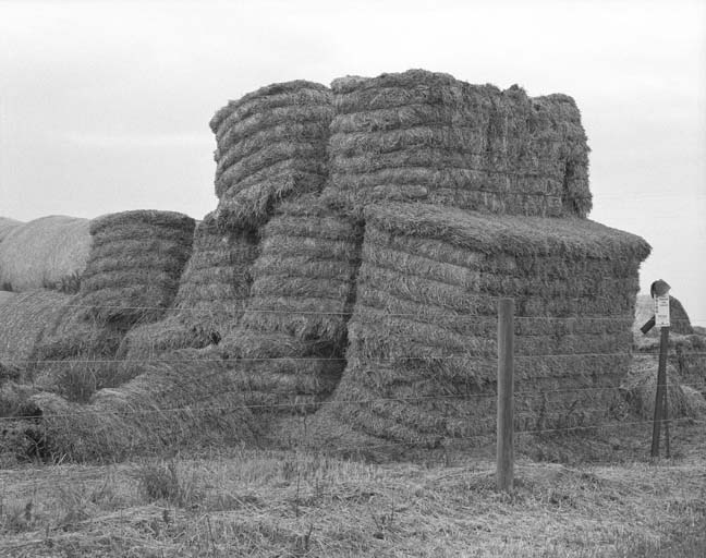 [haystacks,+2007+.jpg]