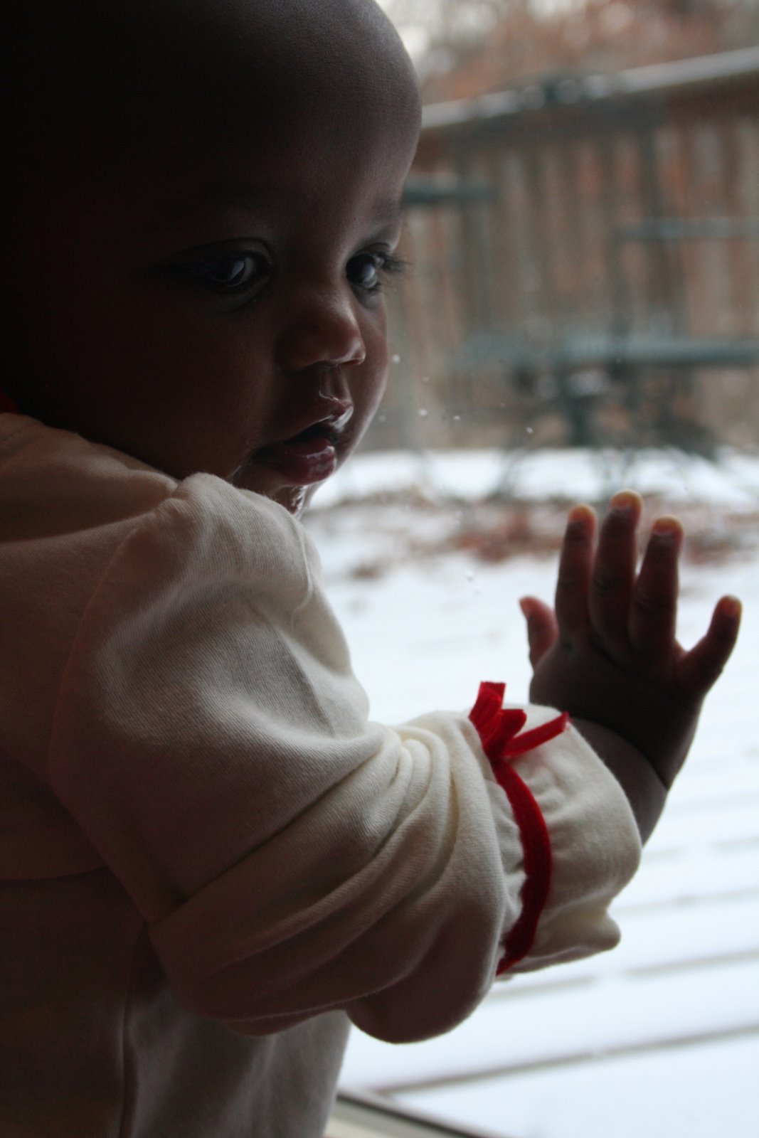 [IMG_7345.JPG]
