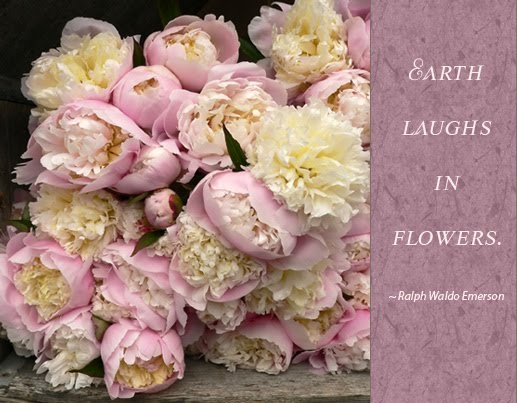 Earth laughs in flowers ...