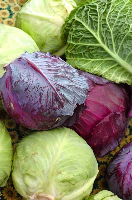 http://2.bp.blogspot.com/_Nyfwps-dNRU/TDrXnxPylNI/AAAAAAAABD8/ozUpXUkNSk4/s1600/cabbage.jpg