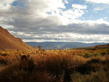 BISHOP (California, EE.UU)