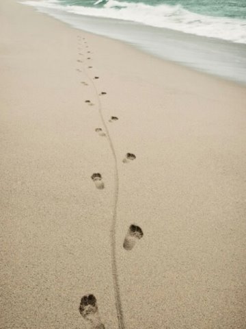 Sigue tus sueños........ellos saben tu camino(kobi yamada)