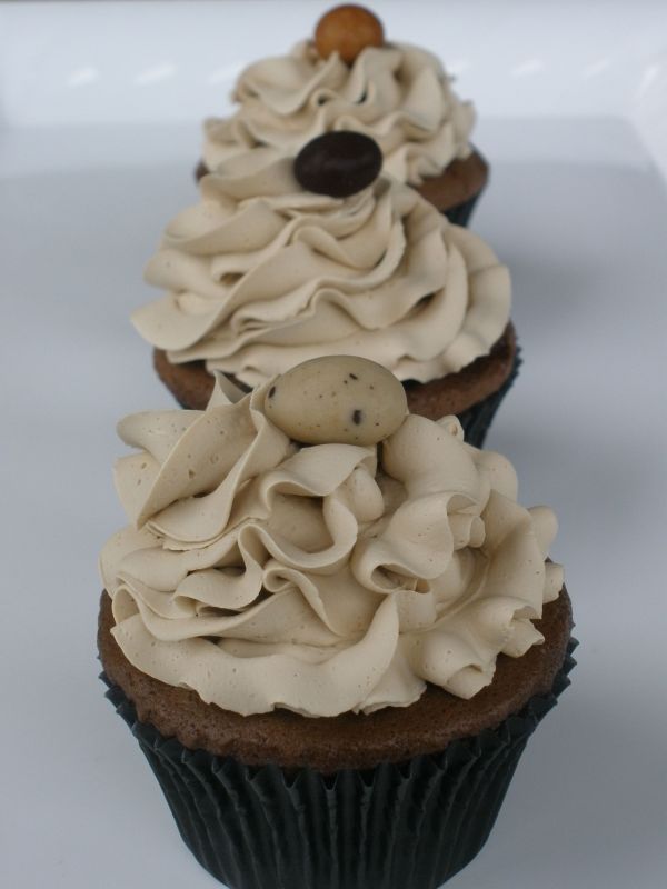 Tradewind Tiaras Types of Icing for Cupcakes