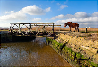 bridge bailey grind daily