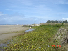 Praia da Jagua