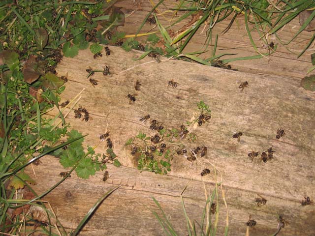 günün ardından: Şubat 2011