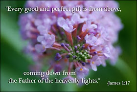 James 1:17 every good and perfect gift is from above