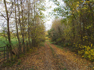 Clagett Farm path