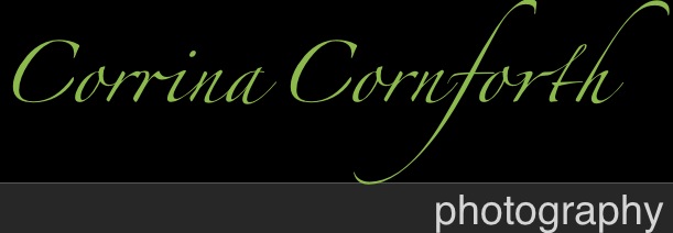 Corrina Cornforth photography